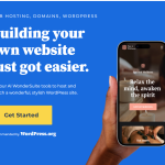 Bluehost review